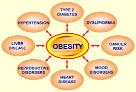 obesity graphic