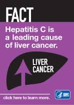 hep c and liver