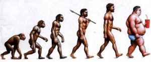 evolution of obesity